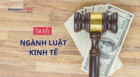 luật kinh tế là gì