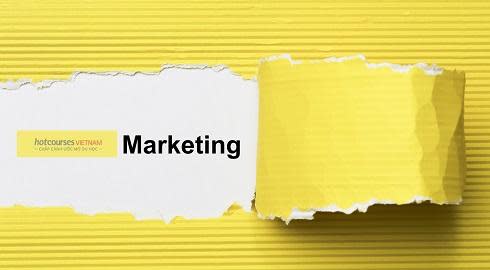 tìm hiểu ngành marketing