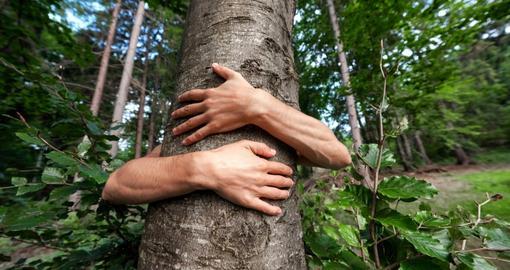 quản lý tài nguyên và môi trường ra làm gì